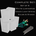 Set of 6 White Luminaries, Green Light String, Bulbs & Stakes