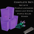 Set of 6 Purple Luminaries, Green Light String, Purple Bulbs, Stakes