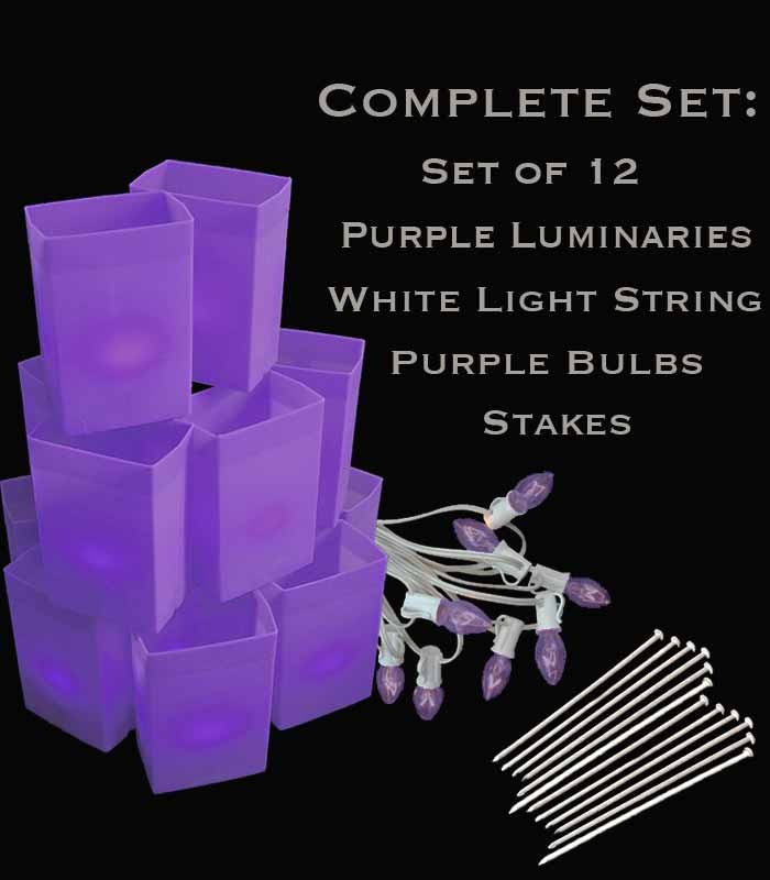 Set of 12 Purple Luminaries, White Light String with Purple Bulbs, Stakes