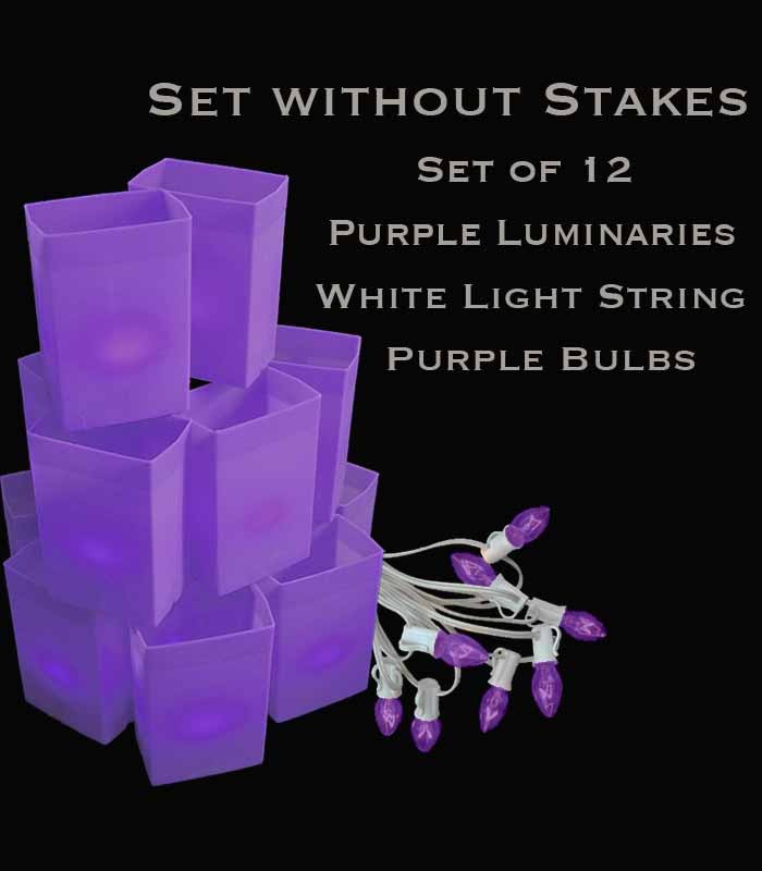 Set of 12 Purple Luminaries, White Light String with Purple Bulbs