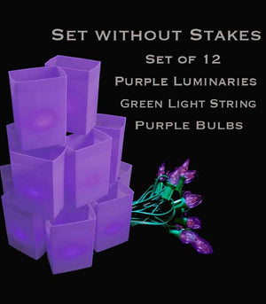 Set of 12 Purple Luminaries, Green Light String with Purple Bulbs