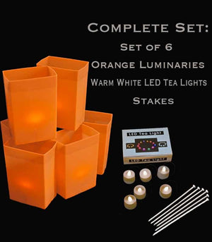Set of 6 Orange Luminaries, Warm White LED Tea Lights with Timers, Stakes