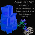 Set of 12 Blue Luminaries, Green Light String, Blue Bulbs, Stakes