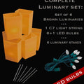 Set of 6 Brown Luminaries, Light String, LED Bulbs & Stakes