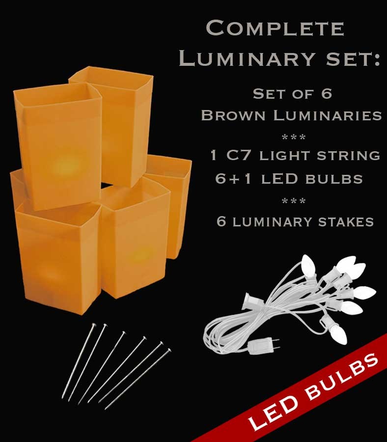 Set of 6 Brown Luminaries, White Light String, LED Bulbs & Stakes