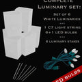 Set of 6 White Luminaries, Light String, LED Bulbs & Stakes