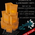 Set of 12 Brown Luminaries, Light String, LED Bulbs & Stakes