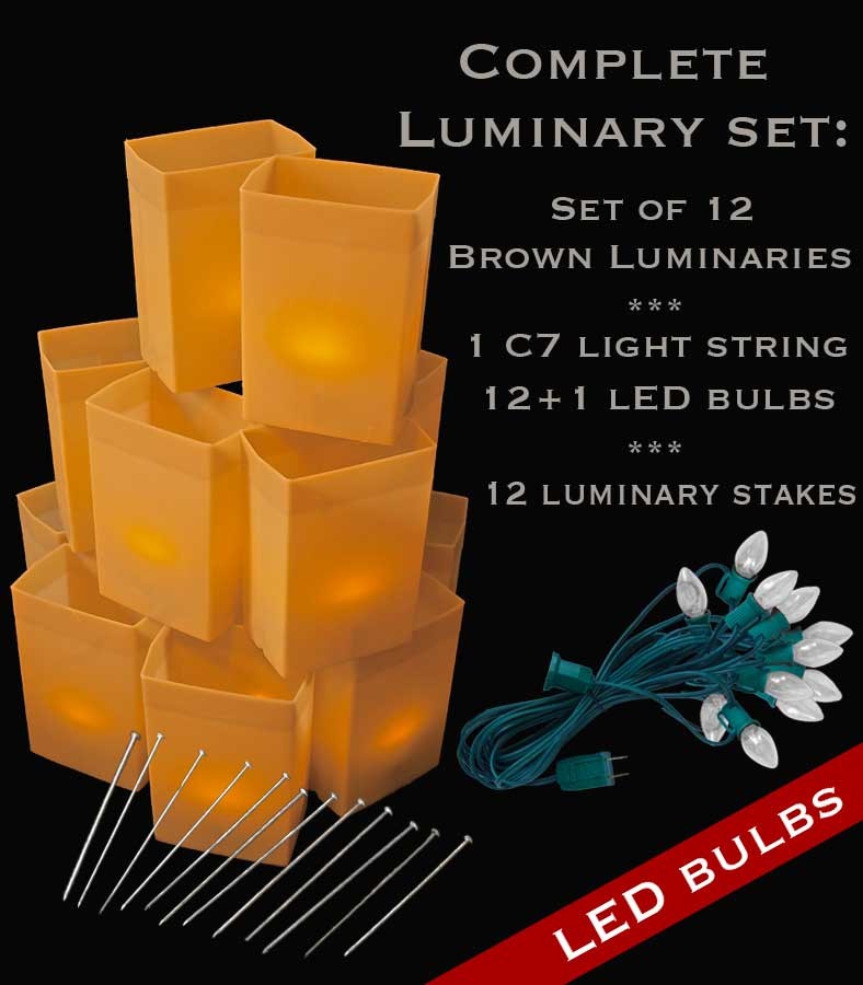 Set of 12 Brown Luminaries, Light String, LED Bulbs & Stakes