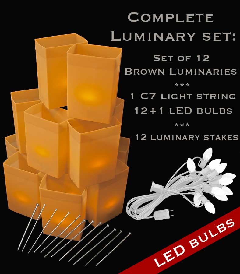 Set of 12 Brown Luminaries, White Light String, LED Bulbs & Stakes