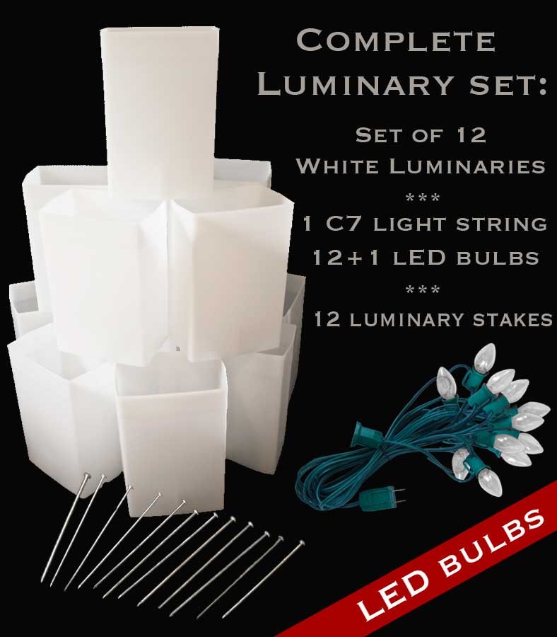 Set of 12 White Luminaries, Light String, LED Bulbs & Stakes
