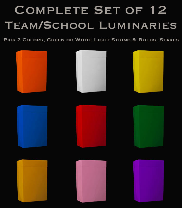 Set of 12 Team/School Luminaries, Light String, Bulbs & Stakes