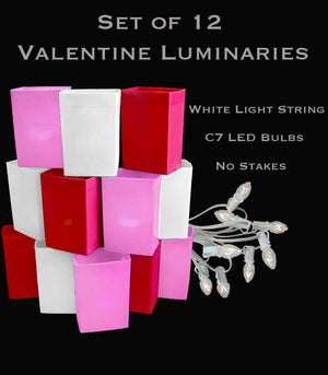 Set of 12 Valentine Luminaries, White Light String and LED Bulbs, No Stakes