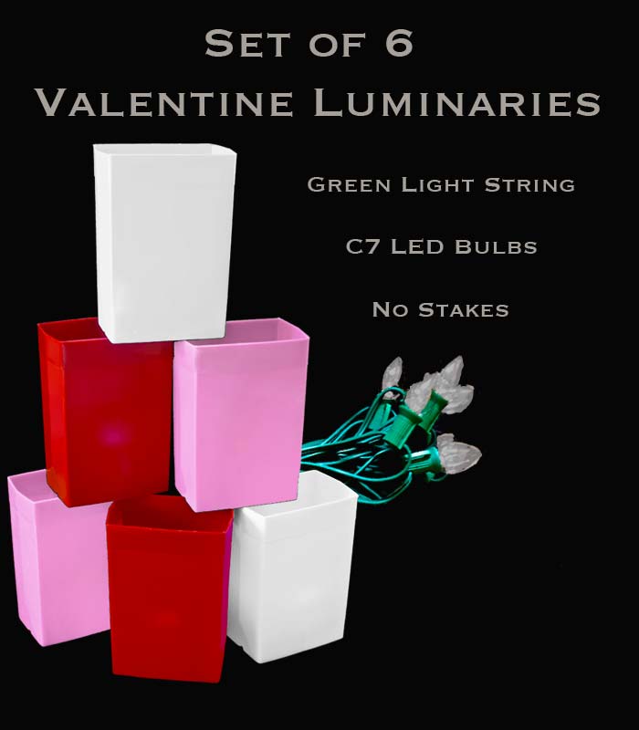 Set of 6 Valentine Luminaries, Green Light String and LED Bulbs, No Stakes