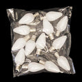 Set of 13 LED C7 Light Bulbs