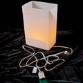 Indoor Luminary Light Kit