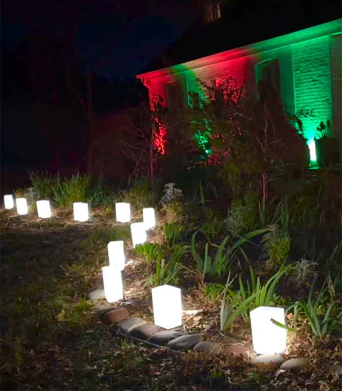 C7 White Flame Bulbs