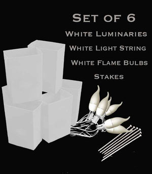 Set of 6 White FLAMING Luminaries, white light string with flame bulbs, stakes