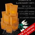 Set of 12 Brown Luminaries, Green Light String, Amber FLAME LED Bulbs & Stakes