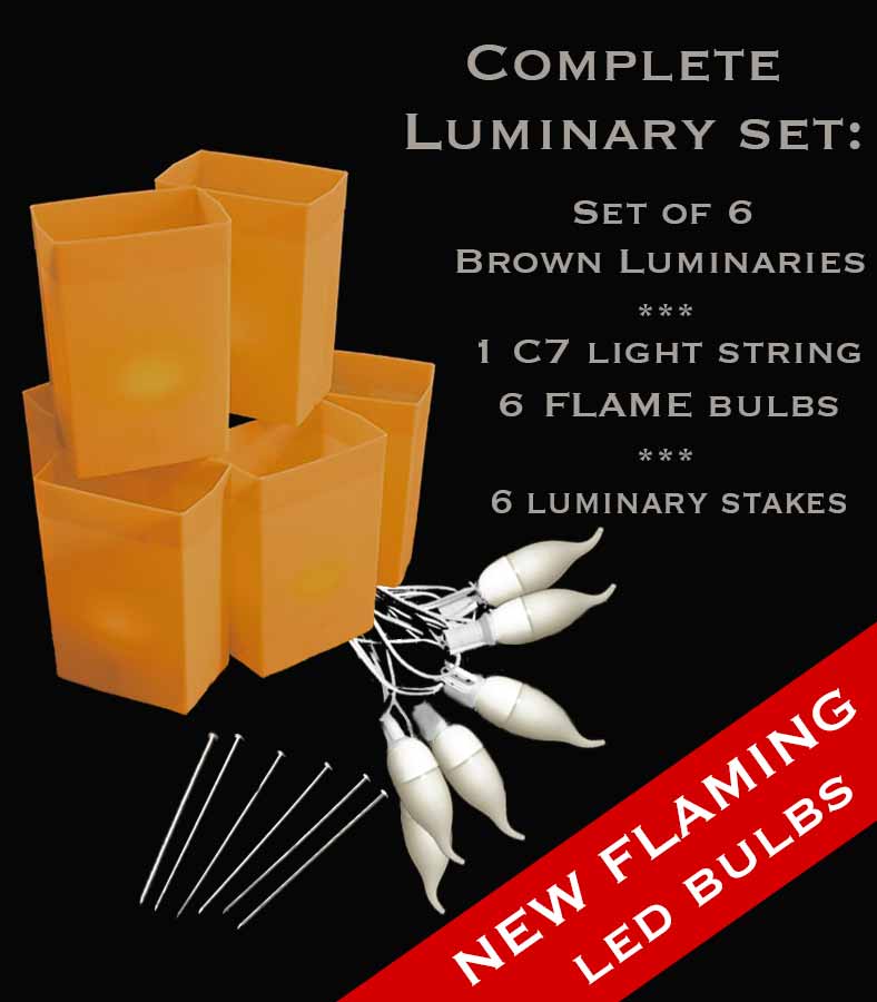 Set of 6 Brown Luminaries, White Light String, Amber FLAME LED Bulbs & Stakes