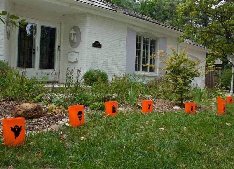 Set of 12 Halloween Luminaries