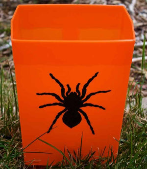 Set of 12 Halloween Luminaries - Spider