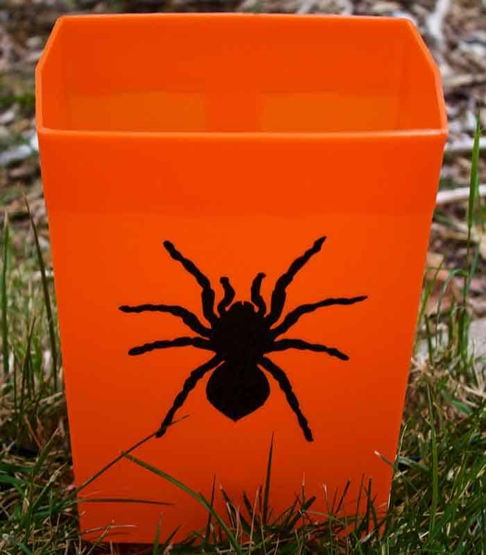 Set of 12 Halloween Luminaries - Spider