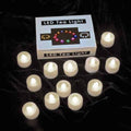 Set of 12 Warm White LED Tealights