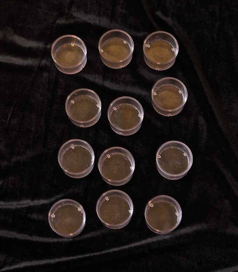 Candle Holders