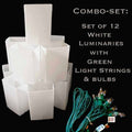 The Reserve:  12 White Luminary Kits
