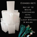 Combo Set: 12 White Luminaries with Green C7 Lightstring & 12 Lightbulbs