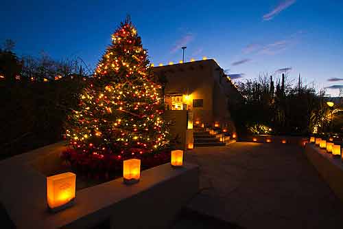 desert botanic luminaries